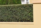 Casey ACThard-landscaping-surfaces-8.jpg; ?>